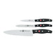 Zwilling Messerset 3-teilig 'Twin Pollux'