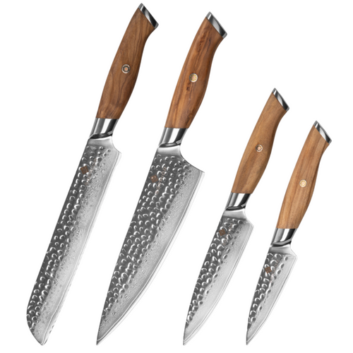 SOPHIOR 4-teiliges Messerset „Performance“