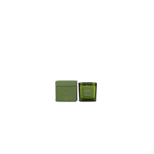 S|P Collection Duftkerze 220g Forest Gallery